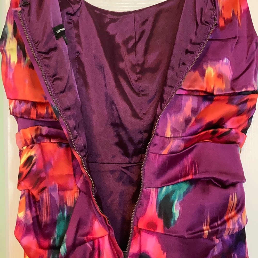 Express Ruched Multi Color Dress - Picture 5 of 5